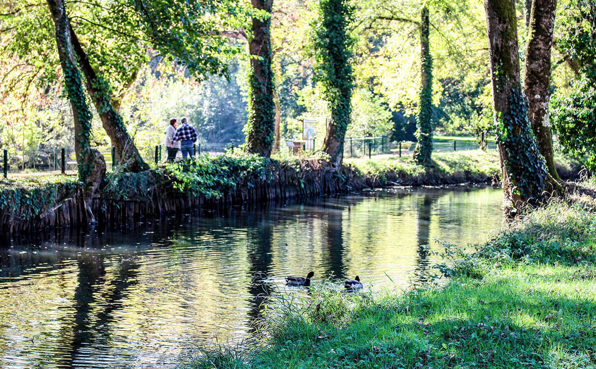 Résidence L'écrin - Parc de L'eau Bourde - Gradignan
