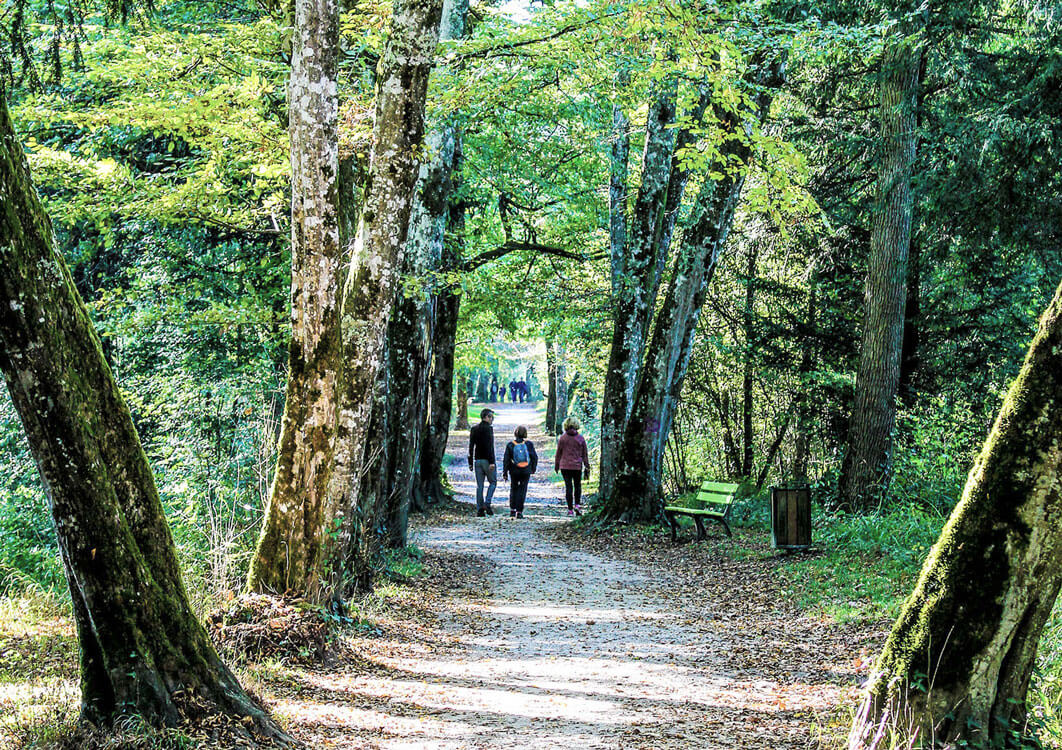 Résidence L'écrin - Parc de Cayac - Gradignan